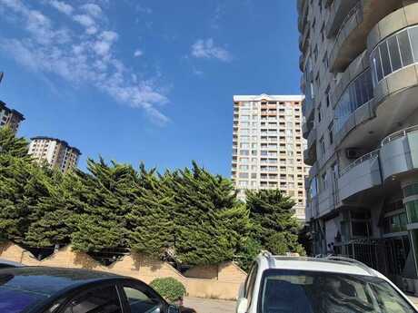 Kirayə 2 otaqlı mənzil, 100 m², Şah İsmayıl Xətai: 1 000 ₼/ay 4