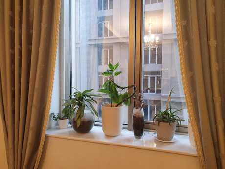 2-room apartment for rent, 70 m², İçəri Şəhər: 1 100 ₼/mo 2