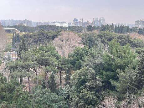 3 otaqlı mənzil, 137 m², Badamdar: 353 000 ₼ 5