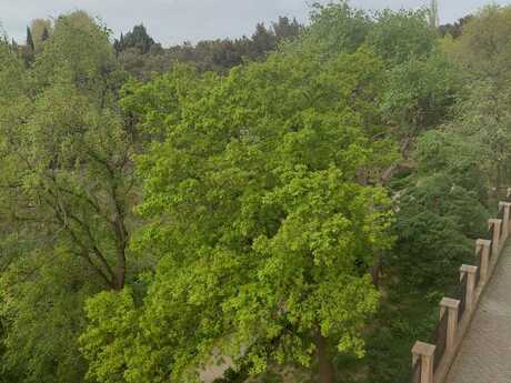 3 otaqlı mənzil, 137 m², Badamdar: 353 000 ₼ 4
