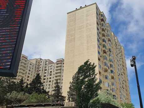 3 rooms · 137 m² · floor 6/18, 9-cu mikrorayon
