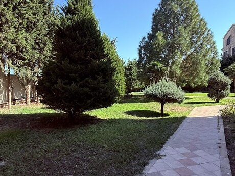 Объявление №6425229 - Баку, пос. Бадамдар, 6 сот