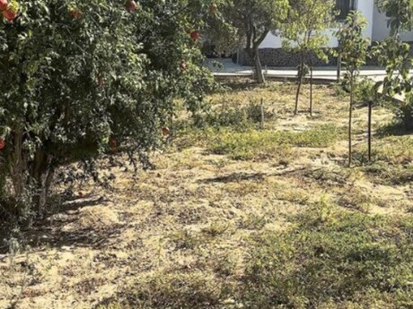 5 otaqlı həyət evi, 250 m², Novxanı: 245 000 ₼ 2