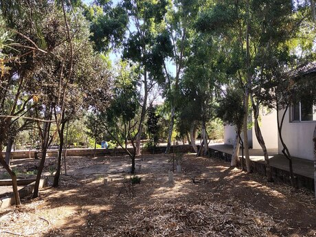 7 otaqlı həyət evi, 170 m², Nardaran: 720 000 ₼ 2
