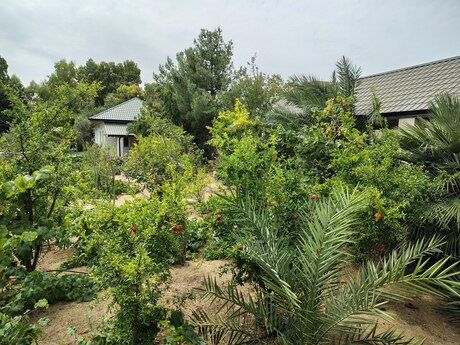 7 otaqlı həyət evi, 170 m², Nardaran: 490 000 ₼ 4