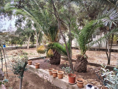 7 otaqlı həyət evi, 170 m², Nardaran: 490 000 ₼ 2
