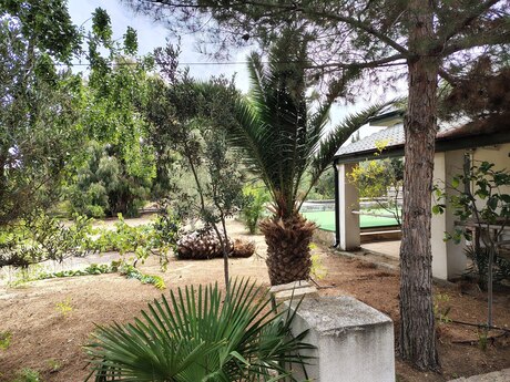 7 otaqlı həyət evi, 170 m², Nardaran: 490 000 ₼ 5