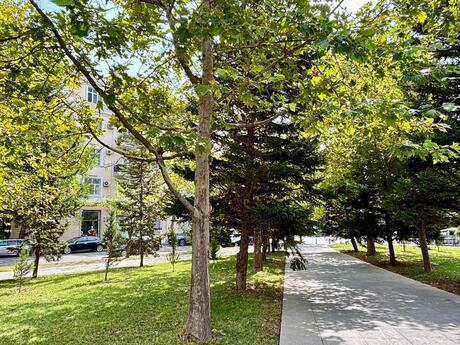 3 otaqlı mənzil, 85,7 m², Nəsimi: 300 000 ₼ 3