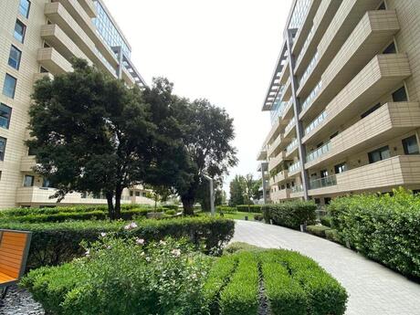 Kirayə 3 otaqlı mənzil, 176 m², Səbail: 3 000 ₼/ay 4