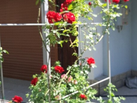 6 otaqlı həyət evi, 220 m², Buzovna: 330 000 ₼ 5
