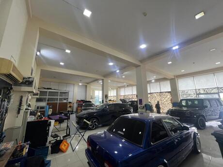 Elan №6427412 - Bakı, NZS q., 700 m²