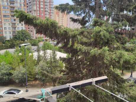 Elan №6427734 - Bakı, Elmlər Akademiyası m., 2 otaqlı, 50 m², 5/5 mərtəbə