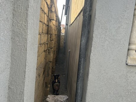 4 otaqlı həyət evi, 110 m², Sulutəpə: 175 000 ₼ 4