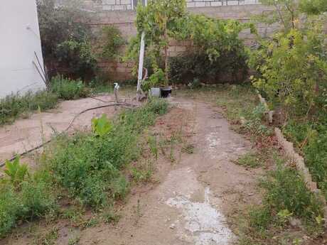 4 otaqlı həyət evi, 150 m², Albalılıq: 140 000 ₼ 3