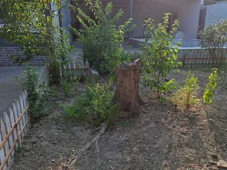 8 otaqlı həyət evi, 240 m², Buzovna: 350 000 ₼ 4