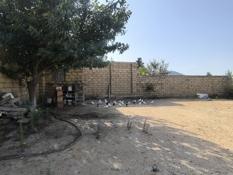 3 otaqlı həyət evi, 120 m², Novxanı: 110 000 ₼ 5