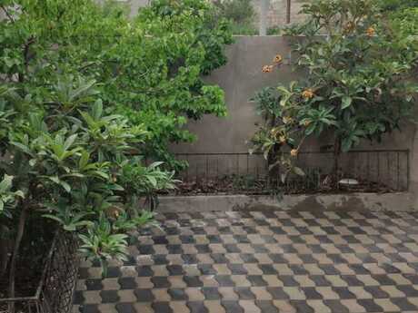 8 otaqlı həyət evi, 200 m², Novxanı: 143 500 ₼ 3