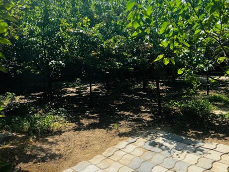 8 otaqlı həyət evi, 200 m², Novxanı: 143 500 ₼ 4