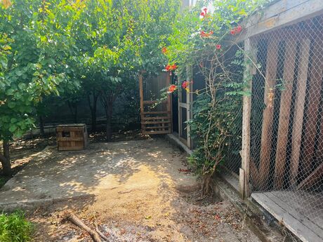 8 otaqlı həyət evi, 200 m², Novxanı: 143 500 ₼ 2
