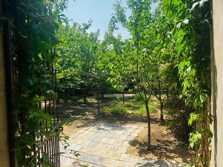 8 otaqlı həyət evi, 200 m², Novxanı: 143 500 ₼ 5