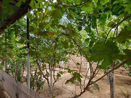 3 otaqlı həyət evi, 110 m², Buzovna: 66 000 ₼ 2