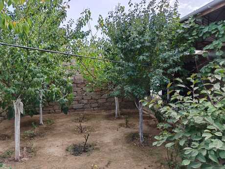 3 otaqlı həyət evi, 110 m², Buzovna: 66 000 ₼ 3
