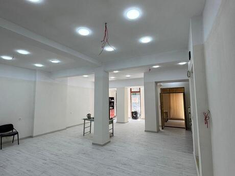Elan №6429413 - Bakı, Nəsimi r., 100 m²