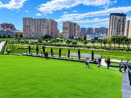 Elan №6301171 - Bakı, Nəsimi r., 2 otaqlı, 100 m², 12/17 mərtəbə