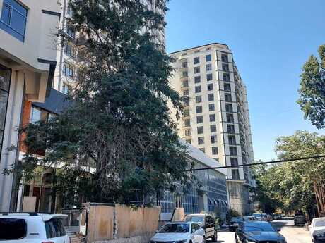 2 otaqlı mənzil, 86 m², Nəriman Nərimanov: 258 000 ₼ 2