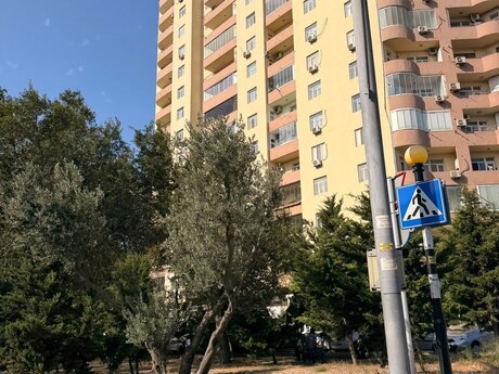 3 rooms · 120 m² · floor 7/18, Melissa Park
