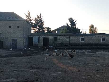 3 otaqlı həyət evi, 70 m², Zirə: 80 000 ₼ 4