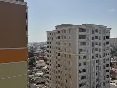 Объявление №6431497 - Баку, м. Иншаатчылар, 3-комн., 146 м², 15/16 этаж