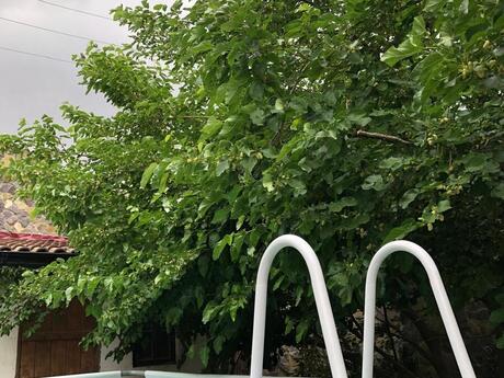 6 otaqlı həyət evi, 300 m², Xocəsən: 620 000 ₼ 4