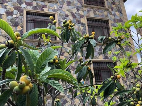 6 otaqlı həyət evi, 300 m², Xocəsən: 620 000 ₼ 5