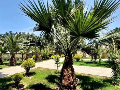 10 otaqlı həyət evi, 1 000 m², Novxanı: 1 600 000 ₼ 4
