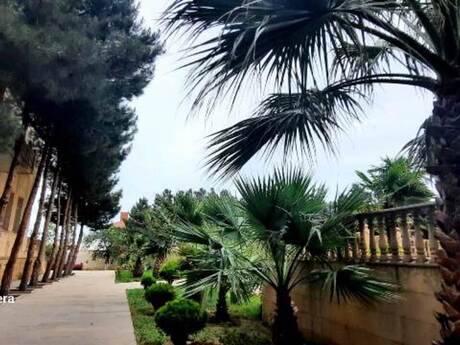 10 otaqlı həyət evi, 1 000 m², Novxanı: 1 600 000 ₼ 5