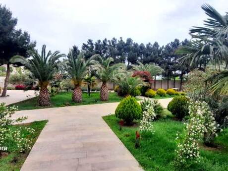 10 otaqlı həyət evi, 1 000 m², Novxanı: 1 600 000 ₼ 2