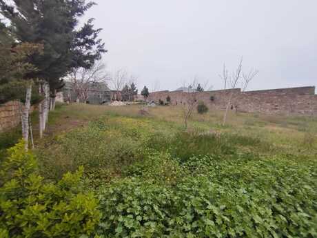 Elan №6433136 - Bakı, Bilgəh q., 24.5 sot