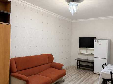 Kirayə 1 otaqlı mənzil, 45 m², Nəsimi: 450 ₼/ay 4