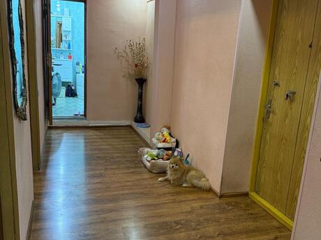3 otaqlı mənzil, 66 m², Nəriman Nərimanov: 230 000 ₼ 2