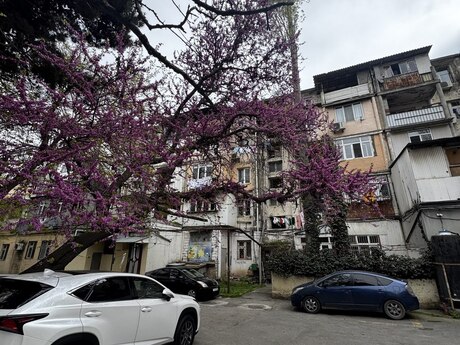2-room apartment, 45 m², Elmlər Akademiyası: 157 000 ₼ 5