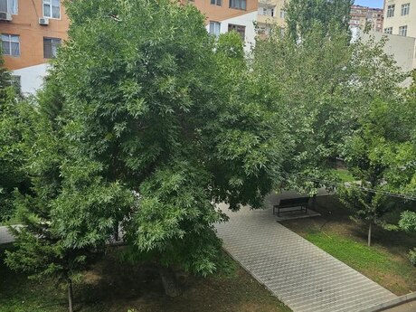 2 otaqlı mənzil, 50 m², Memar Əcəmi: 149 000 ₼ 2