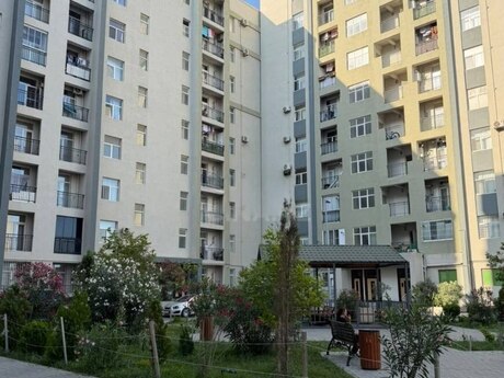 Elan №6435846 - Bakı, Yeni Yasamal q., 1 otaqlı, 36 m², 2/9 mərtəbə