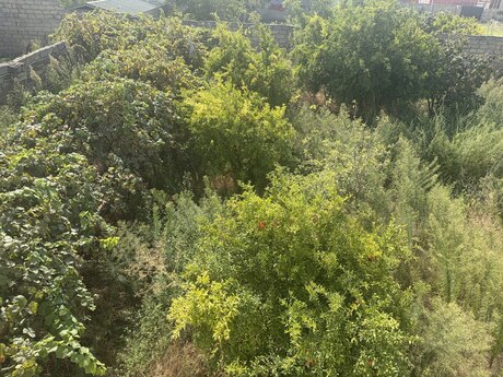 5 otaqlı həyət evi, 150 m², Sea Breeze: 499 000 ₼ 3