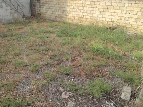 3 otaqlı həyət evi, 100 m², Masazır: 88 000 ₼ 5