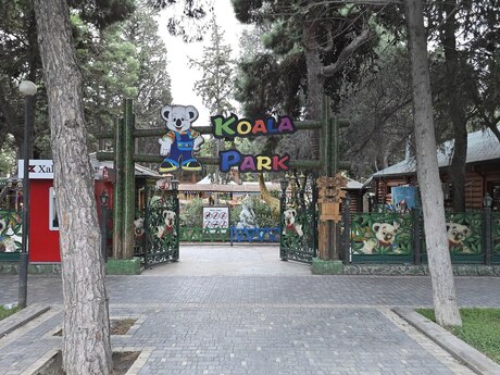 3 otaq · 250 m² · 4/18 mərtəbə, Nəsimi