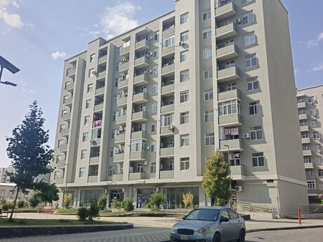 4 Suraxanı