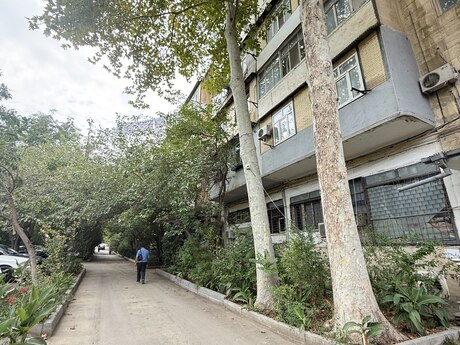 3 otaqlı mənzil, 85 m², Xalqlar Dostluğu: 215 000 ₼ 2