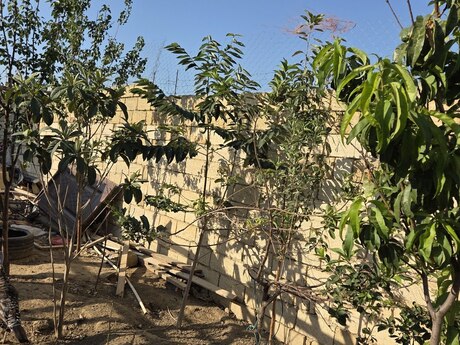 4 otaqlı həyət evi, 180 m², Masazır: 29 000 ₼ 5