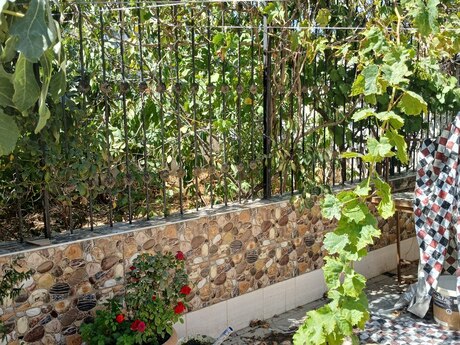 4 otaqlı həyət evi, 110 m², Binə: 72 000 ₼ 4
